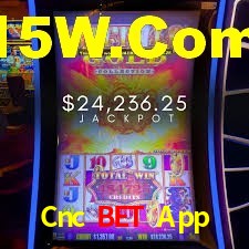 Crash Games Statistics Cnc Bet App