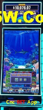 Live Casino Cnc Bet App